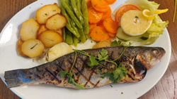 Grilled Sea Bass